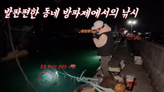 주차후 바로 봄 갑오징어낚시 쌉가능 ! cuttlefish