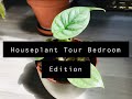 Houseplant Tour Bedroom Edition Part 2 of 4