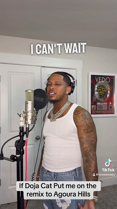 If @dojacat put me on the remix to Agoura Hills #trending #cover #openversechallenge #dojacat #viral