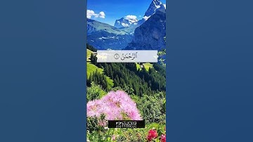 الرحمن علم القرآن خلق الإنسان علمه البيان/سورة الرحمن /القارئ 🎙: عبد الرحمن السديس /قرآن كريم