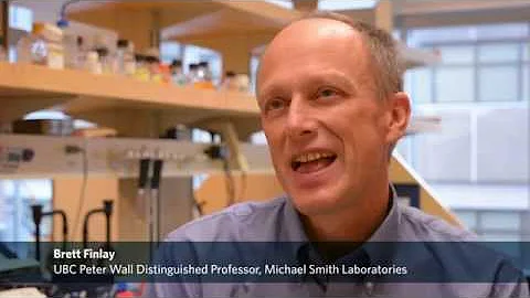 Gut bacteria and asthma