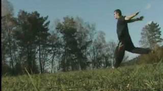 Sampler 2008 Felek Ns