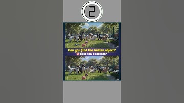 Find the Hidden Object 🤔 | #puzzle #puzzlechallenge