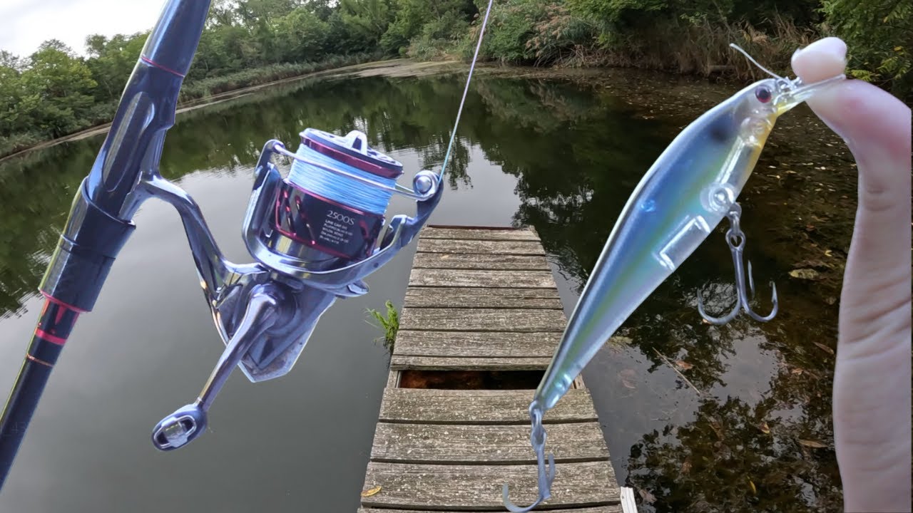 Fishing Hidden Ponds for BIG Bass!