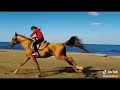 Azerbaycanlı kardeşimizden mükemmel at sürüşü