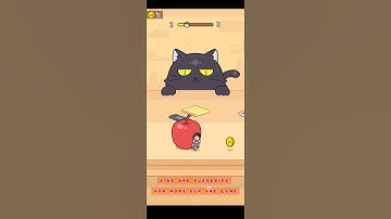 HIDE AND SEEK : CAT ESCAPE LEVEL 2 | Chan-Chan PH