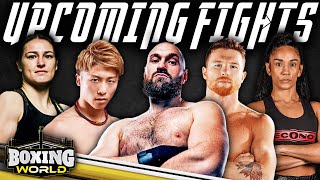 Fury, Canelo, Taylor, Inoue & More! | BEST Upcoming Fights in Boxing | Feature & Highlights