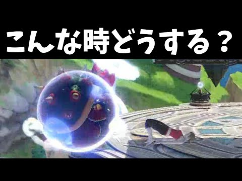 フィットレのこの行動には気をつけてください…【スマブラSP】
