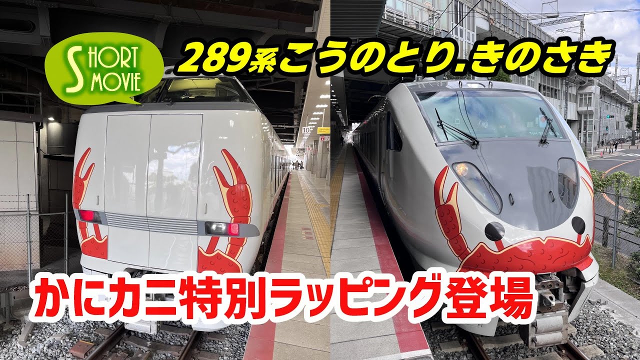 ショート動画☆289系かにカニ特別ラッピング登場！ - YouTube