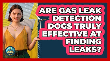 Are Gas Leak Detection Dogs Truly Effective At Finding Leaks? - Your Utilities Hub
