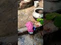 Gerda video