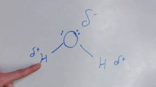 Chemistry & Nature Facts : What Is Polar?
