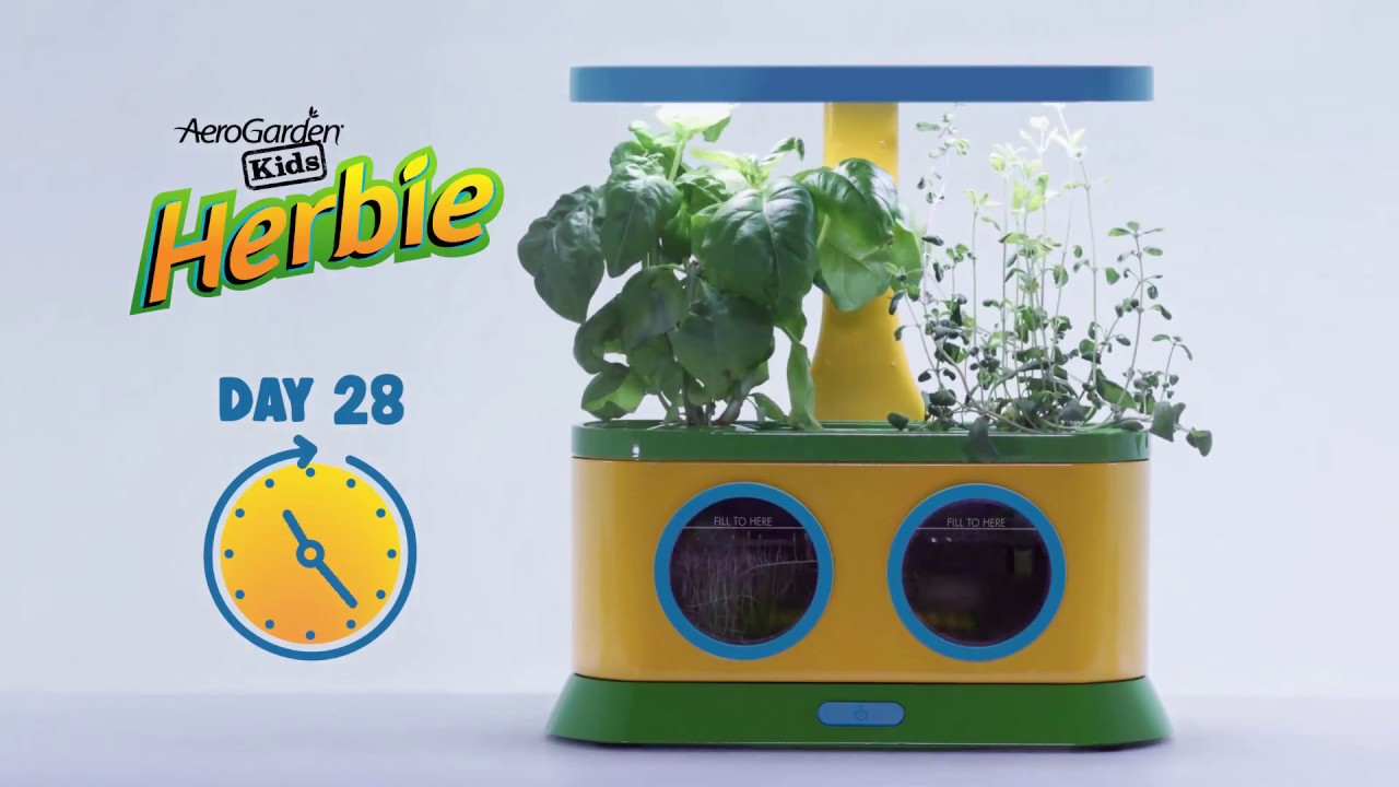 AeroGarden Kids - Herbie Time Lapse AeroGarden Kids - Herbie Time Lapse