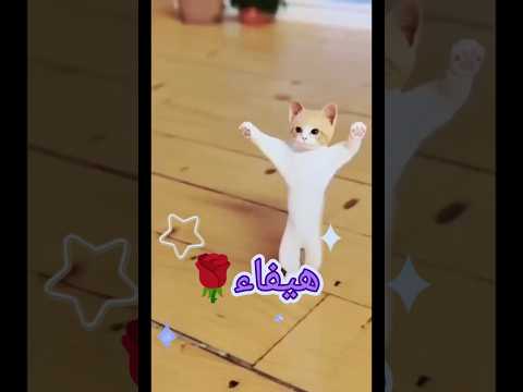 الاكتر طلبا هيفاء هيفاء العراق السعودية قطر الامارات الكويت البحرين اليمن الجزائر اكسبلور