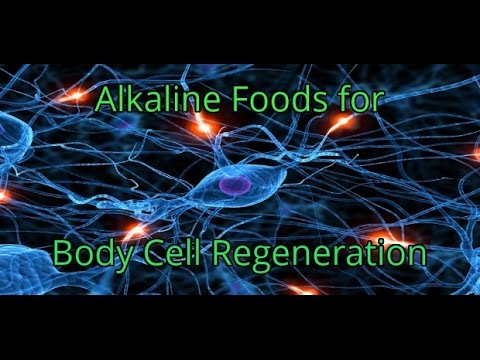 Alkaline Foods that Clean, Repair and Produce New Cells In Your Body - Cell Regeneration