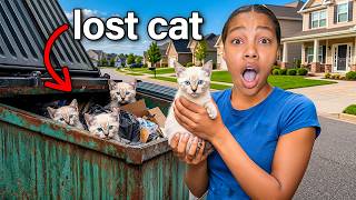 We Found A Lost Kitten Alone...
