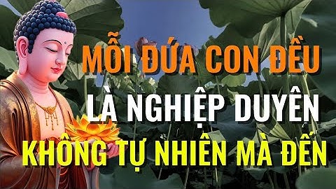 Mỗi Đứa Con Là Một Nghiệp Duyên – Sự Thật Khiến Nhiều Cha Mẹ Giật Mình!