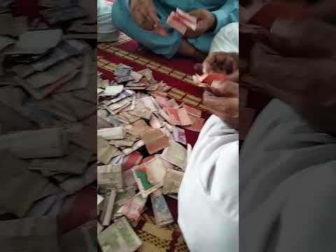Donation Collection Counting| Mosque Donation on Eid ul Adha| Money Counting Video| #Shorts