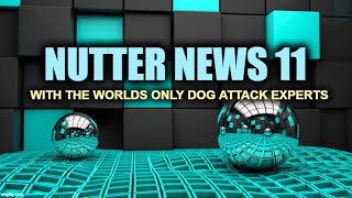 Nutter News 11: With the worlds only dog attack experts