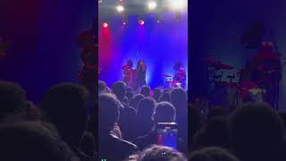 Celebrity Black Stick finale- Live Hobart 2024 The Cruel Sea. Net Worth