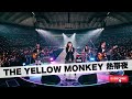 THE YELLOW MONKEY 熱帯夜|Japanese Girls AI Rock Band|邦楽カバー