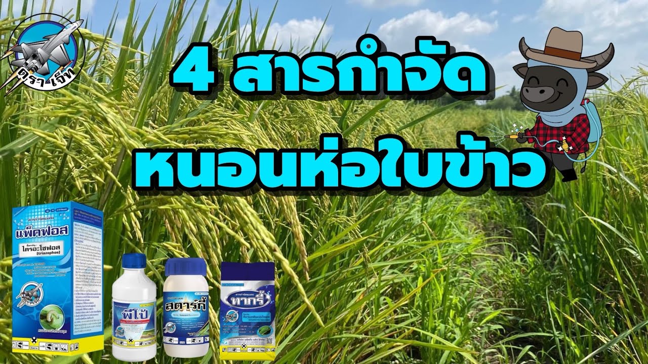 4 สารกำจัดหนอนห่อใบข้าวตัวเด็ดจากตราเจ็ท