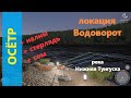 Русская рыбалка 4 - река Нижняя Тунгуска - Осетр и другие обитатели ямы
