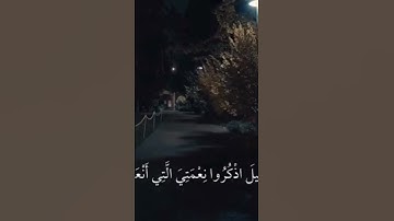 برواية الإمام قالون عن الإمام نافع المدنيّ يتلو فضيلة العلّامة الشيخ محمد سالم عامر💗