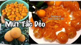 Tammy & Cuộc sống ở Mỹ