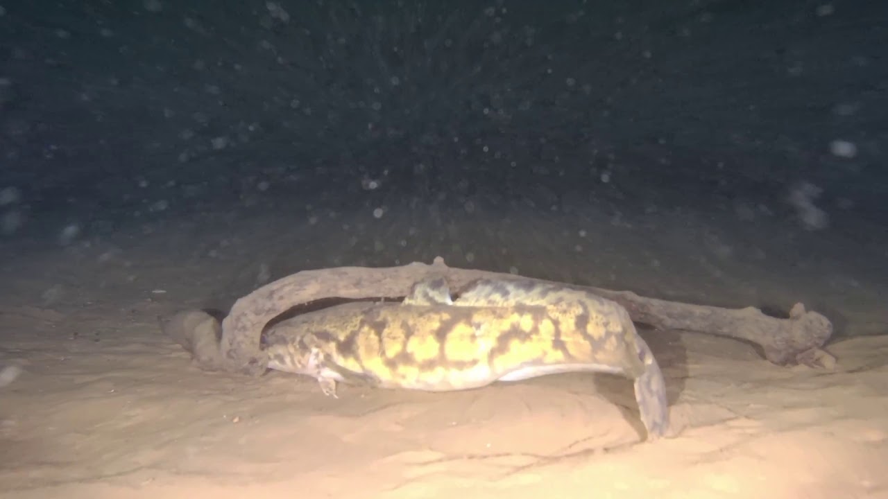 Vättern 50 meter down