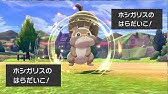 超簡単実演付き マリルに はらだいこ を覚えさせる方法 ポケモン剣盾 Youtube