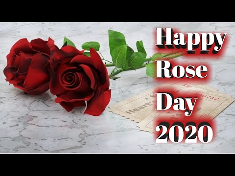 happy-rose-day-2020-|-7th-feb-rose-day-whatsapp-status-video|-rose-day-status-2020