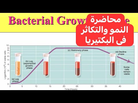 فيديو: كيف تتكاثر معظم البكتيريا؟