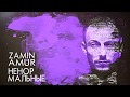 Zamin Amur - Ненормальные