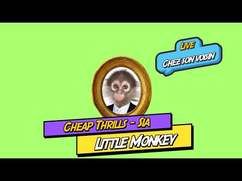 Little Monkey