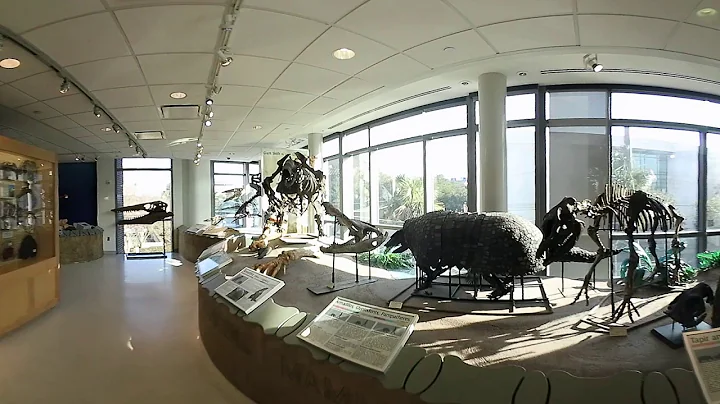 360 Video -- Mace Brown Museum of Natural History