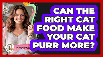 Can The Right Cat Food Make Your Cat Purr More? - Happy Cat Handbook