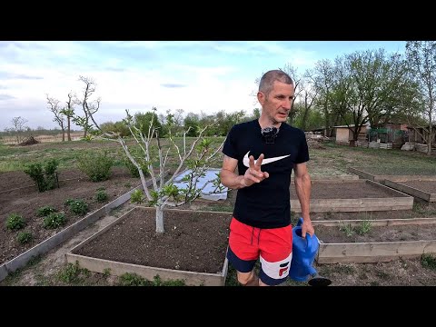 Два дня жара 30+, но мы идём вперёд!
