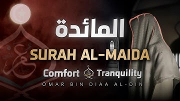 تلاوة تريح القلب للقارئ عمر بن ضياء الدين 🤍 | Surah Al-Ma'idah - سورة المائدة