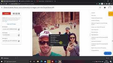 Detect Labels, Faces, and Landmarks in Images with the Cloud Vision API