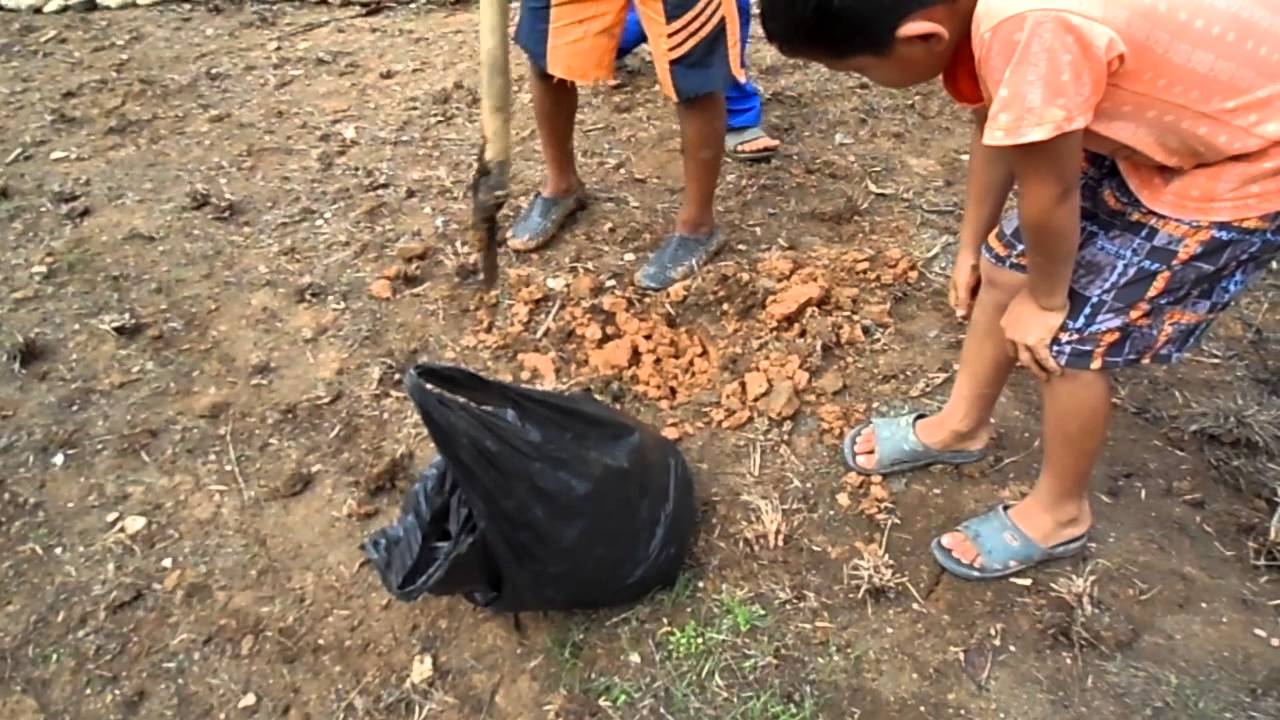 SAM 0090 - YouTube