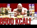 8500 Kcal täglich! Alle Meals, alle Nährwerte im Bodybuilding