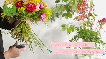 Buquês de Flores para Presentear - Uniflores 💌