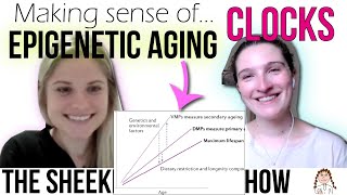 How to study aging with DNA methylation.