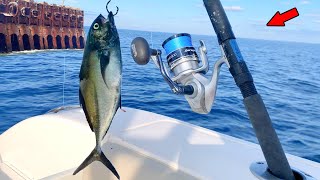 Dropped a Giant Bait Around a Shipwreck and Caught THIS! *Catch, Clean, & Cook