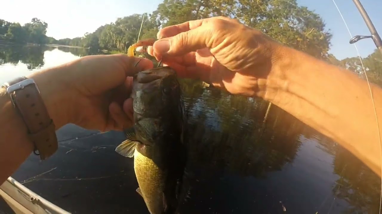 Bass Fishing in Mike's backyard pond! Bass Manager The Best Bass