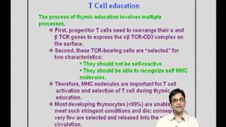 Mod-13 Lec-27 T cell Activation / Differentiation