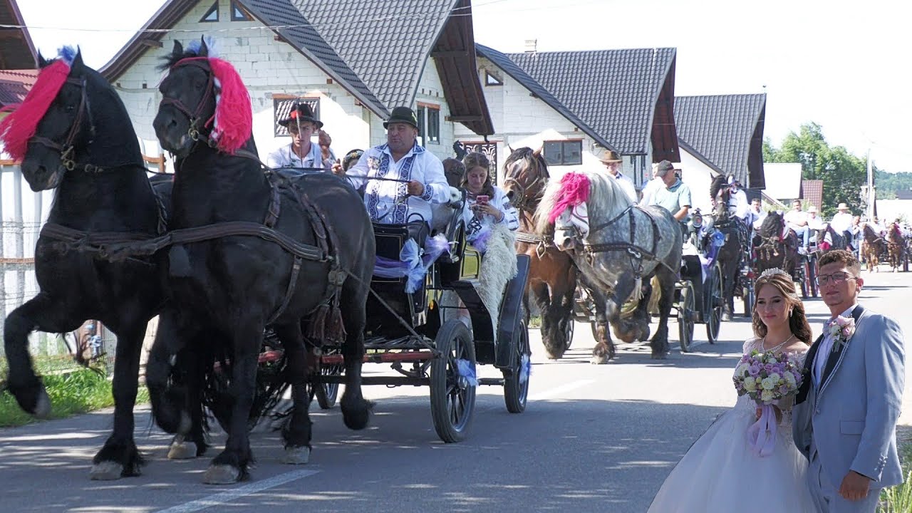 Nuntă cu Cai și Trăsuri acasă la mireasă Vasile și Elena Cican Vicovu de Sus-Bucovina 6 Iulie 2024