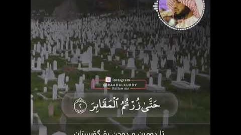 سورة التكاثر شيخ رعد محمد الكردي