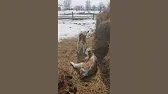 Семья Фетистовых